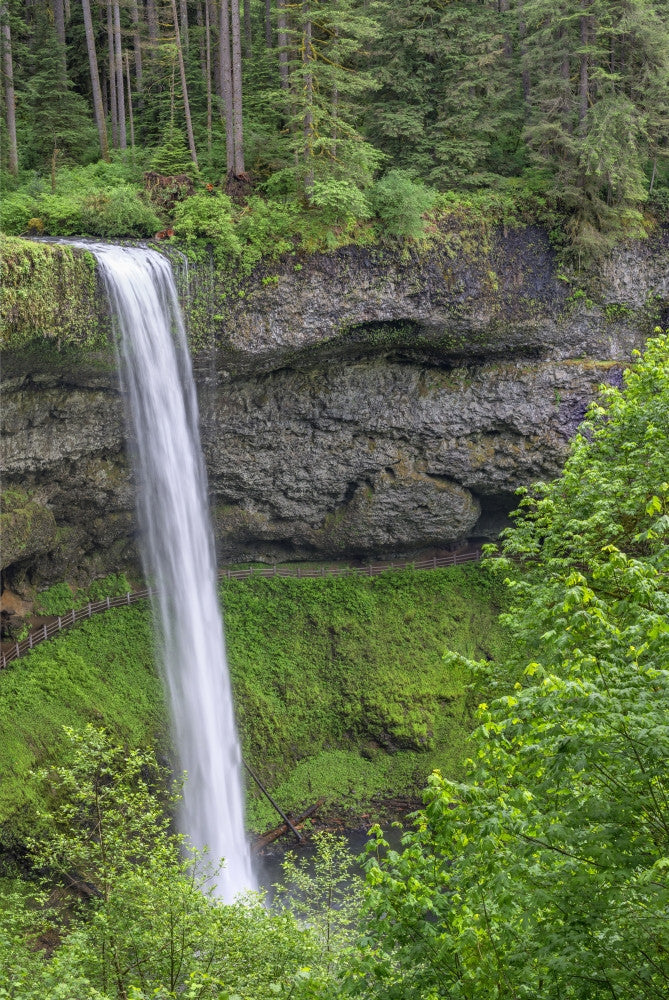 Oregon Silver Falls State Park Fine Art Print by John Barger