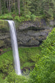 Oregon Silver Falls State Park Fine Art Print by John Barger