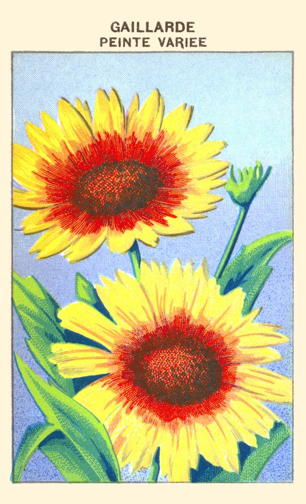 Gaillarde's Painting Variety Fine Art Print - Multiple Sizes