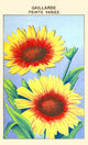 Gaillarde's Painting Variety Fine Art Print - Multiple Sizes