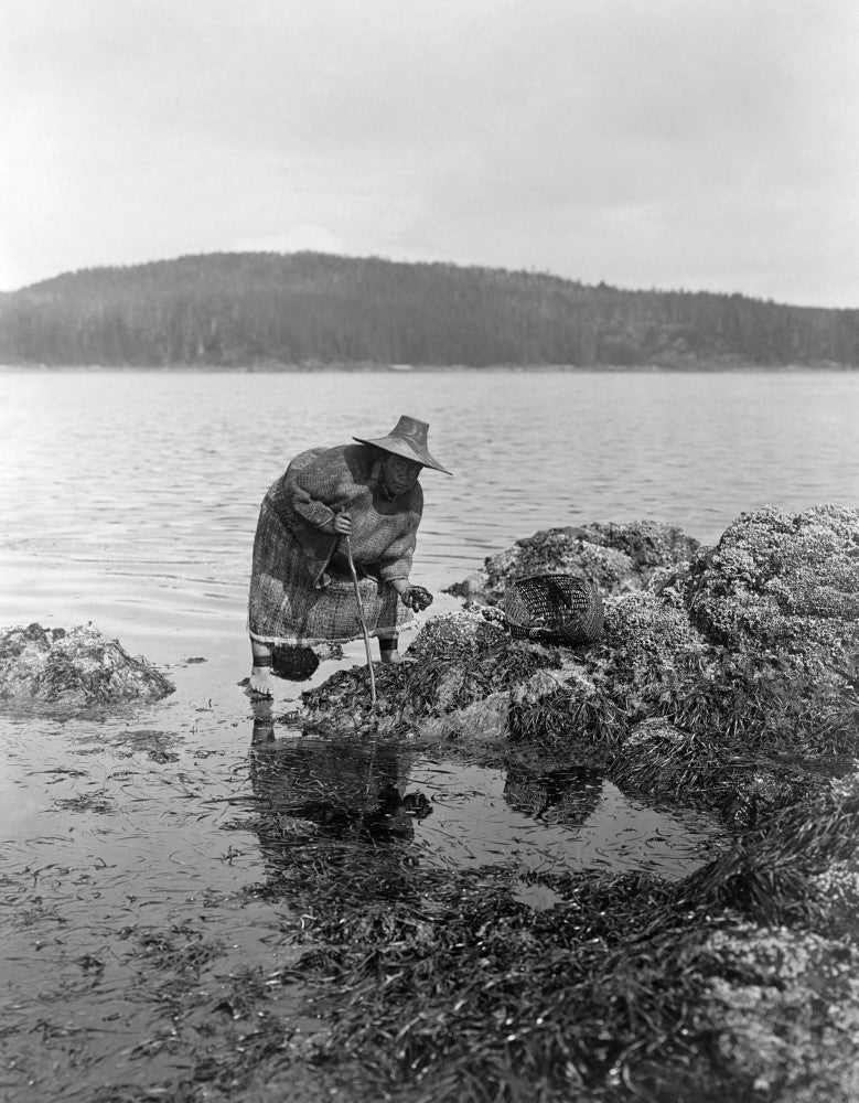 Gathering Abalone Fine Art Print by Edward S. Curtis - C1910