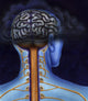 Back of Brain and Spinal Cord Art Print by TriFocal Communications