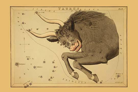 Taurus Constellation Astronomical Chart Fine Art Print by Aspin Jehosaphat