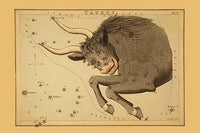 Taurus Constellation Astronomical Chart Fine Art Print by Aspin Jehosaphat