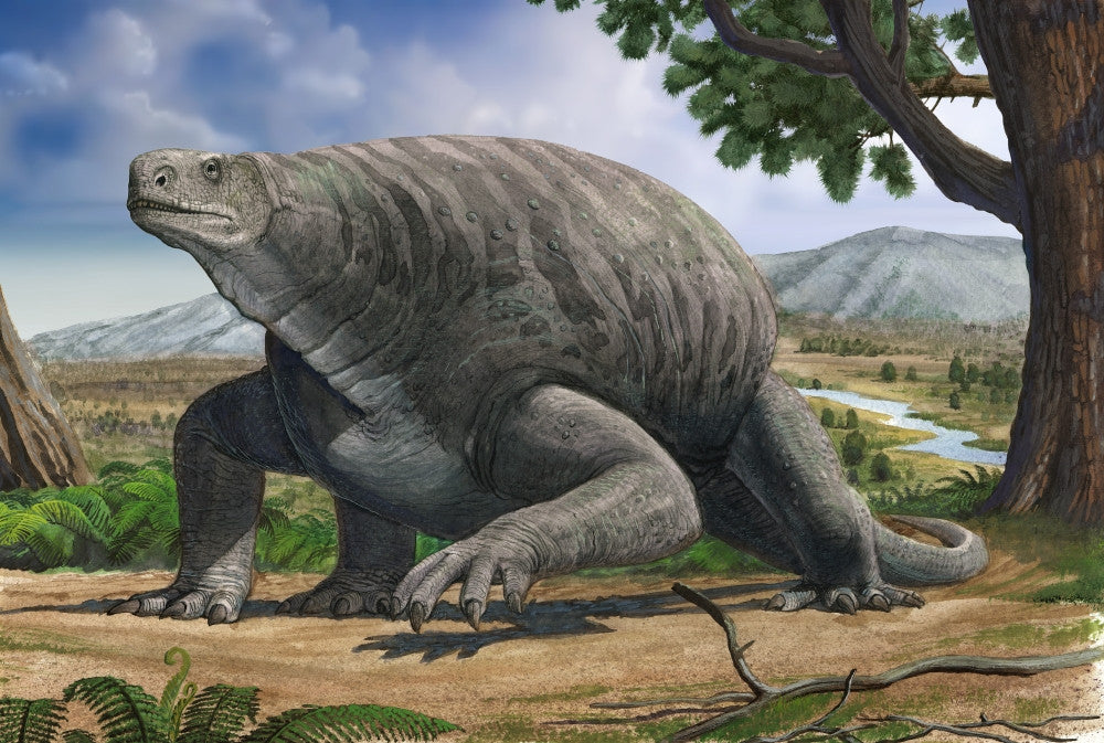 Cotylorhynchus bransoni Prehistoric Animal Fine Art Print