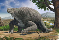 Cotylorhynchus bransoni Prehistoric Animal Fine Art Print