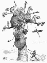 Teddy Roosevelt Cartoon - 'The Frightened Animals' Fine Art Print by Homer Davenport