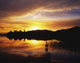 Lough Gill Silhouette of Swan at Sunset Fine Art Print by The Irish Image Collection