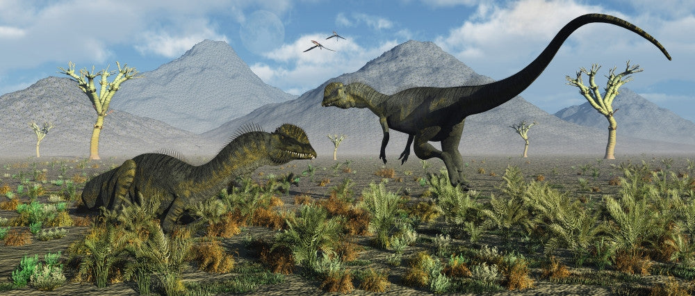 Dilophosaurus Dinosaurs Fine Art Print in Prehistoric Setting