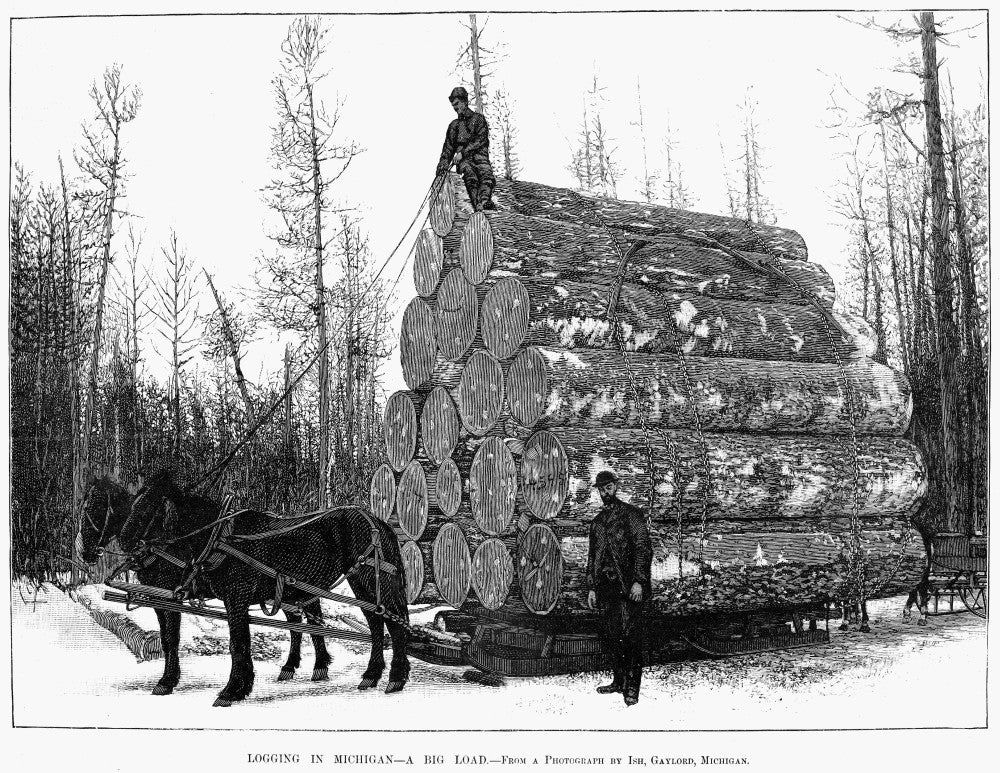 Michigan Lumbering Fine Art Print - Late 19th Century Wood Engraving by Granger Collection