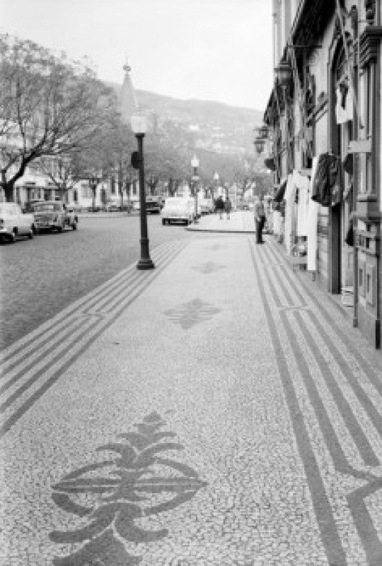 Portugal Madeira Funchal Mosaic Pavement Fine Art Print