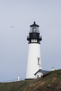 A Gull Soars by the Yaquina Head Lighthouse Poster Print by Robert L. Potts