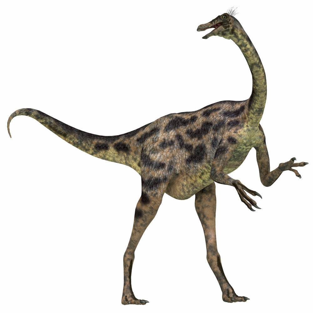 Gallimimus Dinosaur Fine Art Print - Cretaceous Period