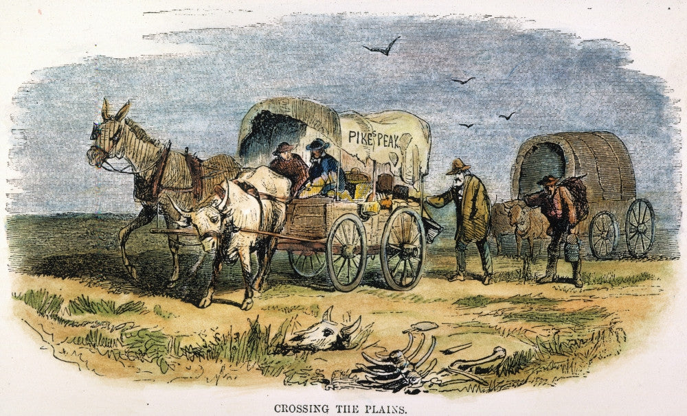 Emigrant Party Crossing the Plains Fine Art Print, 1859