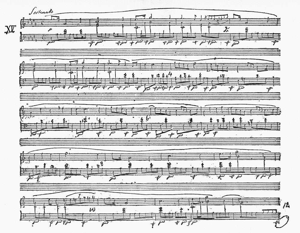 Chopin 'Raindrop' Prelude Manuscript Fine Art Print by Granger Collection