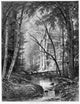 Catskill Brook Fine Art Print After Worthington Whittredge