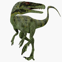 Juravenator Dinosaur Fine Art Print - Jurassic Period Poster