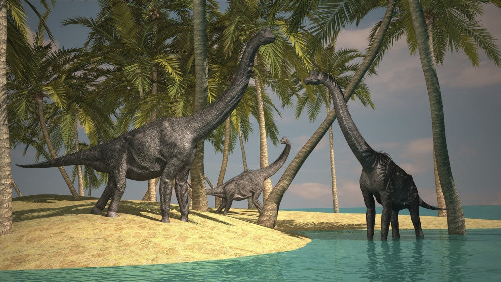 Brachiosaurus Dinosaurs Grazing at Water's Edge Fine Art Print