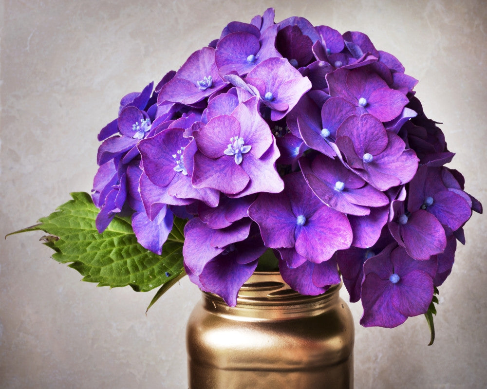 Purple Hydrangea Floral Art Print in Copper Jar by Lorna Rande