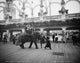 Coney Island Elephant Ride Vintage Photograph Print