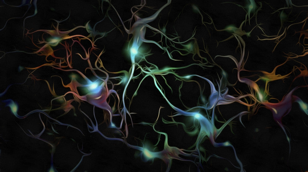 Colorful Neurons Canvas Art Print by Bruce Rolff | Stocktrek Images