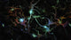 Colorful Neurons Canvas Art Print by Bruce Rolff | Stocktrek Images