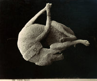Pompeii Plaster Cast Fine Art Print - Historical Dog Cast Photograph