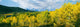 Aspen Trees with Teton Range Fine Art Print - Oxbow Bend, Grand Teton National Park