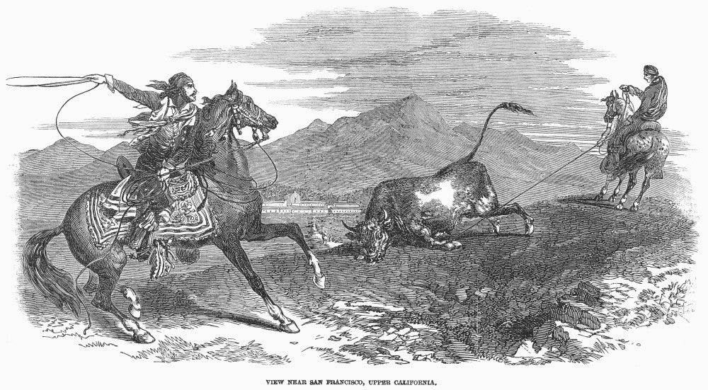 California Vaqueros Catching Cattle Fine Art Print by Granger Collection