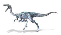 3D Coelophysis Dinosaur Fine Art Print - Perfect for Any Space