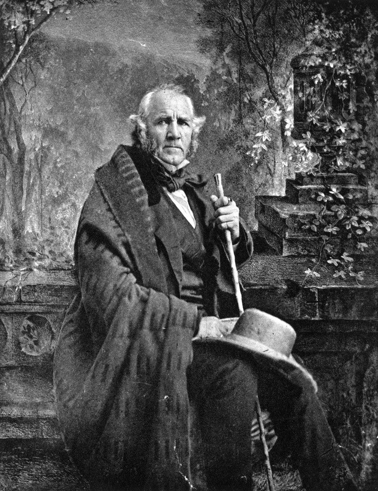Sam Houston Fine Art Print - American Soldier & Political Leader