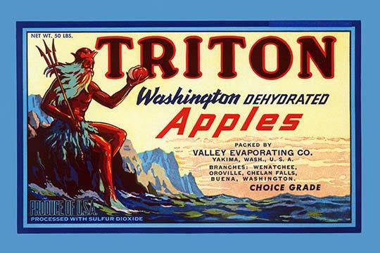 Triton Brand Dehydrated Apples Crate Label Poster Print