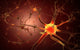 Conceptual Neuron Artwork Poster Print - Fine Art by StockTrek Images