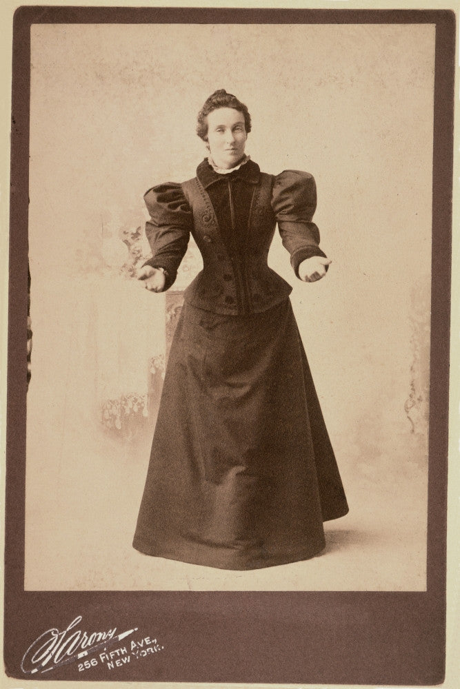 Mary Elizabeth Lease American Social Reformer Fine Art Print - c1890