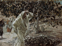 The Accursed Fig Tree Fine Art Print by James Tissot