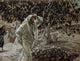 The Accursed Fig Tree Fine Art Print by James Tissot