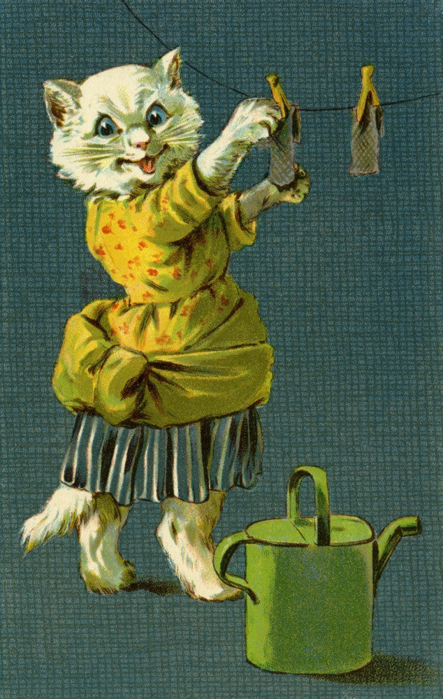 Cat Hanging Out Washing Fine Art Print by G H Thompson