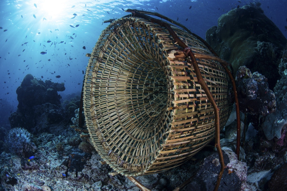 Traditional Bamboo Fish Trap in Indonesian Waters Fine Art Print by Ethan Daniels