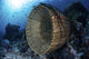 Traditional Bamboo Fish Trap in Indonesian Waters Fine Art Print by Ethan Daniels