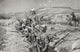 British Troops Ready to Repel Attack - Second Boer War Fine Art Print