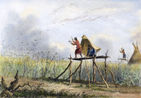 Native Americans Guarding Their Cornfields Fine Art Print - 1853 Engraving