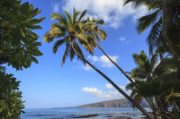 Keomo Beach Fine Art Print by Stuart Westmorland - Big Island, Hawaii