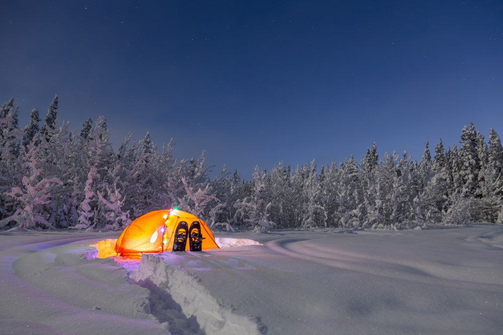 Glowing Tent in Snowy Spruce Forest Fine Art Print by Kevin G. Smith