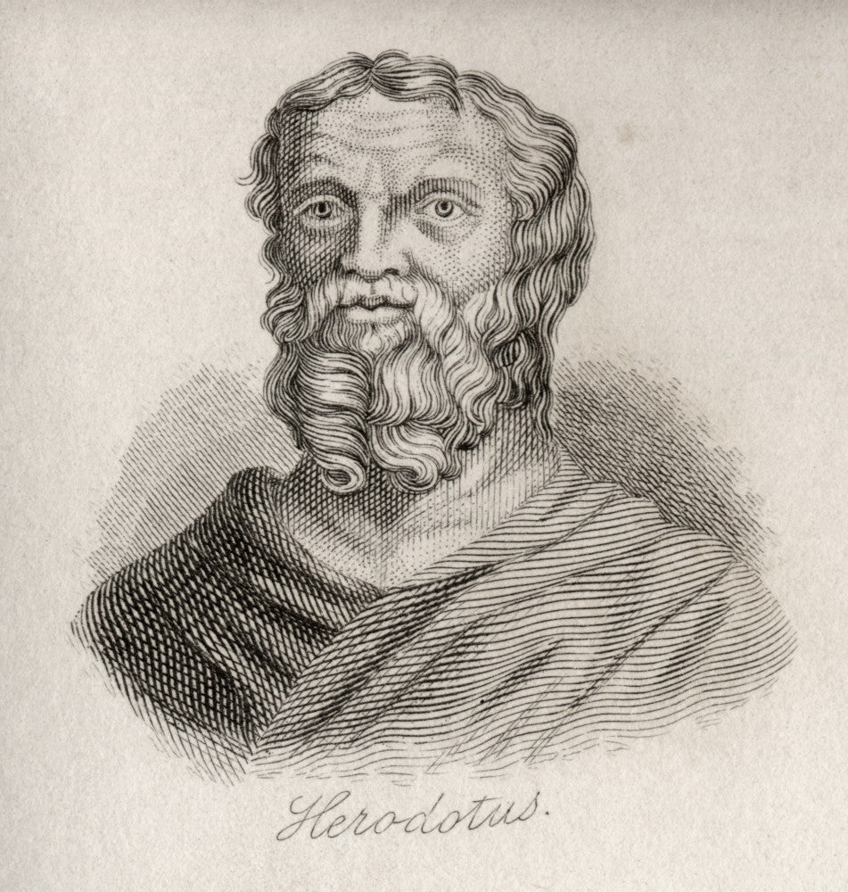 Herodotus of Halicarnassus Fine Art Print - Greek Historian