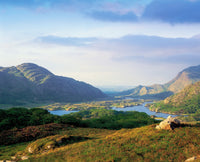 Ladies' View, Killarney Fine Art Print - Scenic Ireland