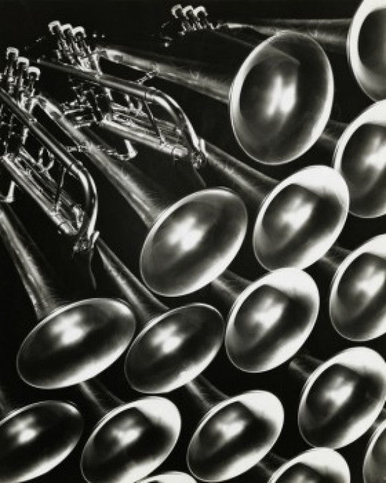 Close-Up of Trumpets Fine Art Print - Stunning Detail