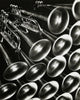 Close-Up of Trumpets Fine Art Print - Stunning Detail