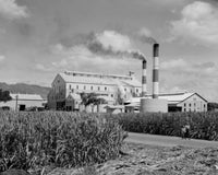 USA Hawaii Islands Oahu Sugar Mill at Ewa Plantation Fine Art Print