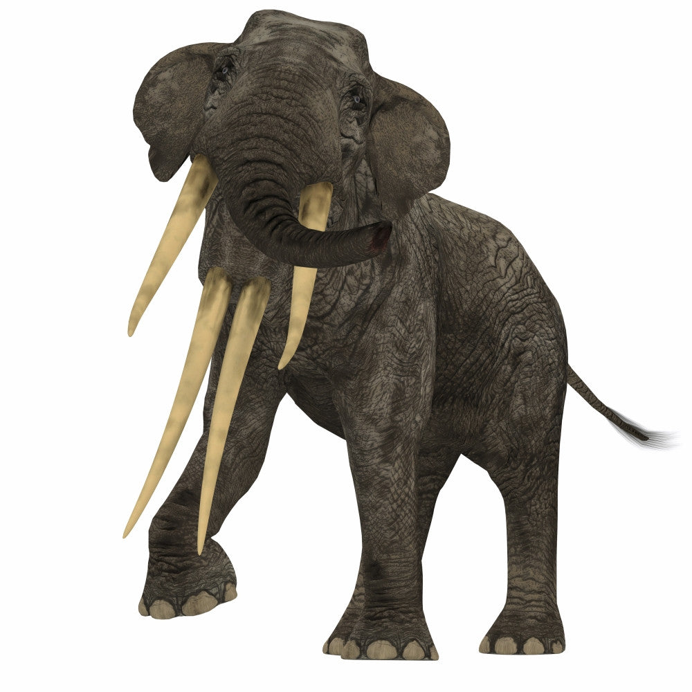 Stegotetrabelodon Primitive Elephant Fine Art Print by Corey Ford
