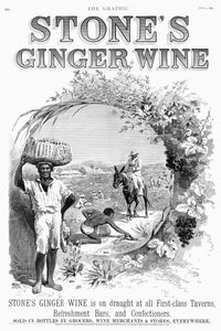 Ginger Wine Advertisement Fine Art Print - Vintage 1892 Newspaper Ad by Granger Collection
